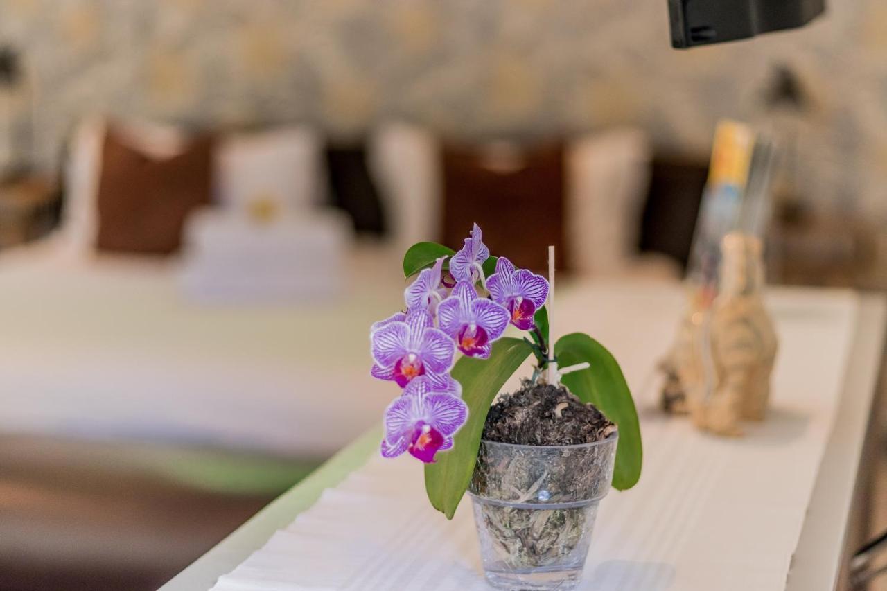 Hotel 51 On Camps Bay Kapsztad Zewnętrze zdjęcie